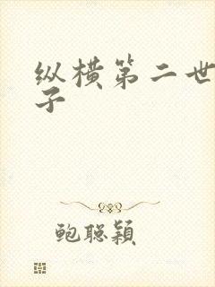 纵横第二世界宽子封面