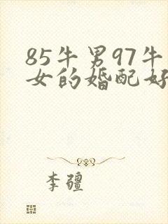 85牛男97牛女的婚配好吗