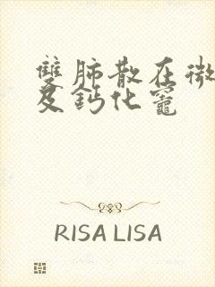 双肺散在微结节及钙化灶