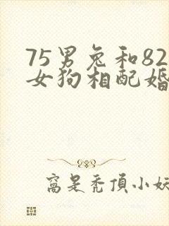 75男兔和82女狗相配婚姻如何封面
