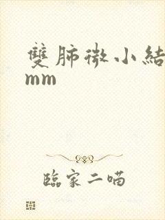 双肺微小结节4mm