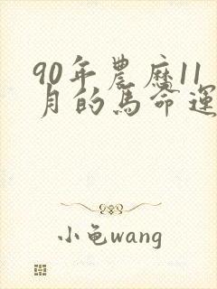 90年农历11月的马命运如何