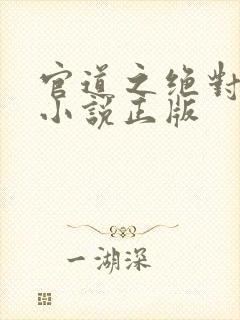 官道之绝对权力小说正版