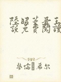 陆昭菱晋王的小说免费阅读