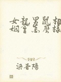 女龙男鼠相配婚姻会怎么样