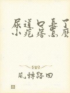 尿道口长了一个小疙瘩怎么回事