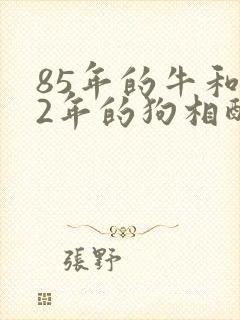 85年的牛和82年的狗相配吗封面
