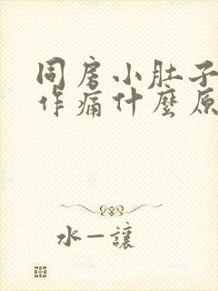 同房小肚子隐隐作痛什么原因