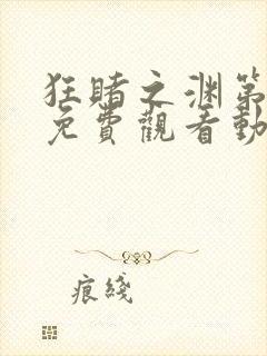 狂赌之渊第一季免费观看动漫