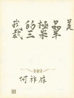 我的极品美女总裁三米半