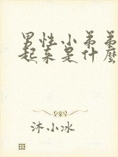 男性小弟弟硬不起来是什么原因