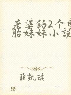 老婆的2个双胞胎妹妹小说