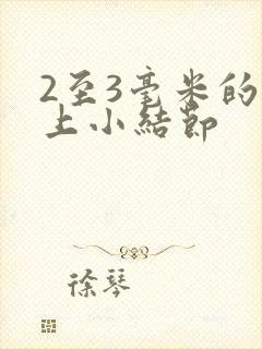 2至3毫米的肺上小结节