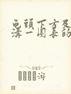 龟头下方及冠状沟一圈长的是什么封面