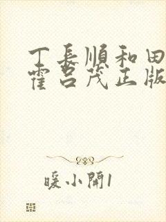 丁长顺和田晓兰霍吕茂正版