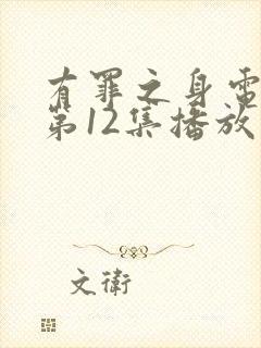 有罪之身电视剧第12集播放