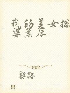 我的美女总裁老婆叶辰