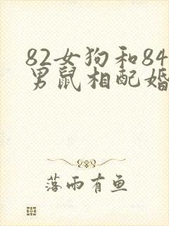 82女狗和84男鼠相配婚姻如何