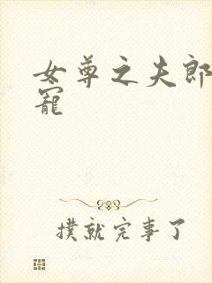 女尊之夫郎不好宠