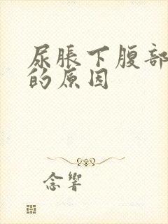 尿胀下腹部隐痛的原因