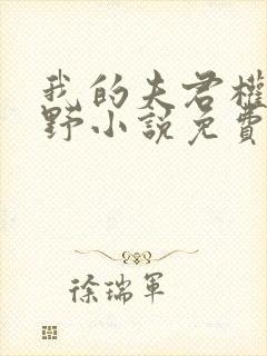 我的夫君权倾朝野小说免费阅读