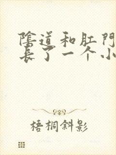 阴道和肛门之间长了一个小疙瘩封面