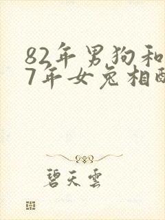 82年男狗和87年女兔相配婚姻如何