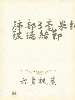 肺部3毫米纯磨玻璃结节