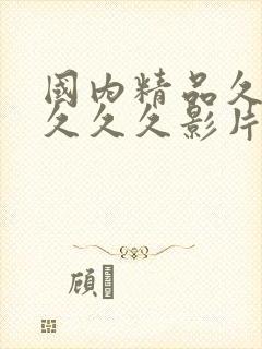 国内精品久久久久久久影片