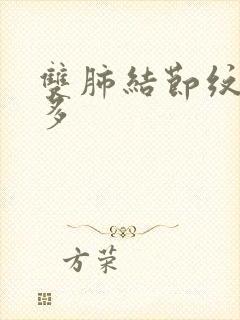 双肺结节纹理增多