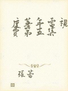 度华年电视剧免费第五集