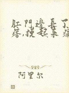 肛门边长了硬疙瘩,摸起来痛