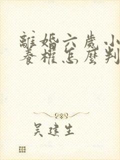 离婚六岁小孩抚养权怎么判