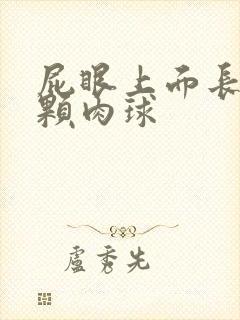 屁眼上面长了一颗肉球