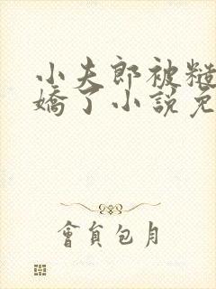 小夫郎被糙汉宠娇了小说免费阅读