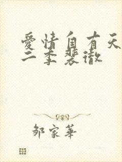 爱情自有天意第二季裴彻