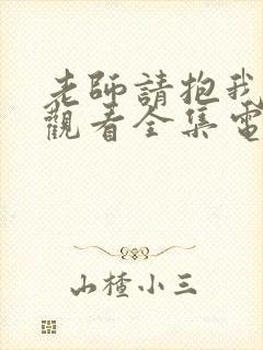 老师请抱我免费观看全集电视剧