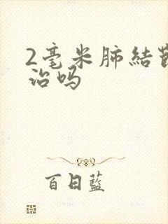 2毫米肺结节好治吗