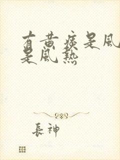 有黄痰是风寒还是风热