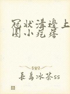 冠状沟边上有一圈小疙瘩