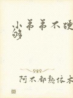 小弟弟不硬度不够封面