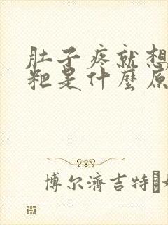 肚子疼就想拉粑粑是什么原因