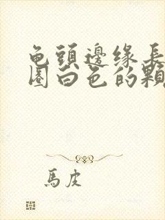 龟头边缘长了一圈白色的颗粒