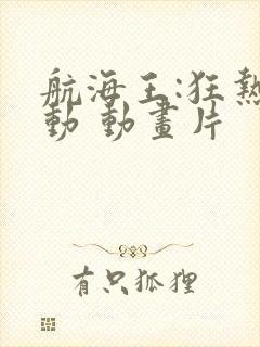 航海王:狂热行动 动画片封面