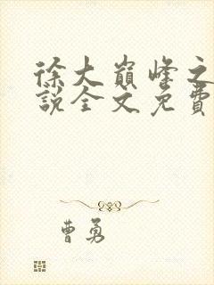 徐大巅峰之路小说全文免费阅读