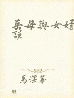 岳母与女婿的小说