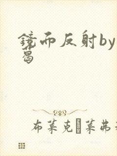 镜面反射by九葛