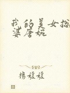 我的美女总裁老婆唐婉