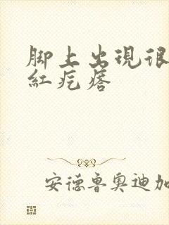 脚上出现很多小红疙瘩封面