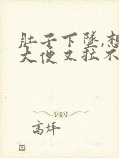 肚子下坠,想拉大便又拉不出来是什么原因